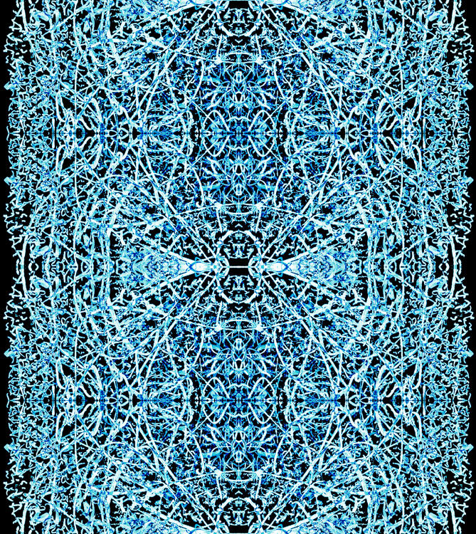 The Neuronal Blue Protocol: Blueprint Protocol V1.1 (Inverted)