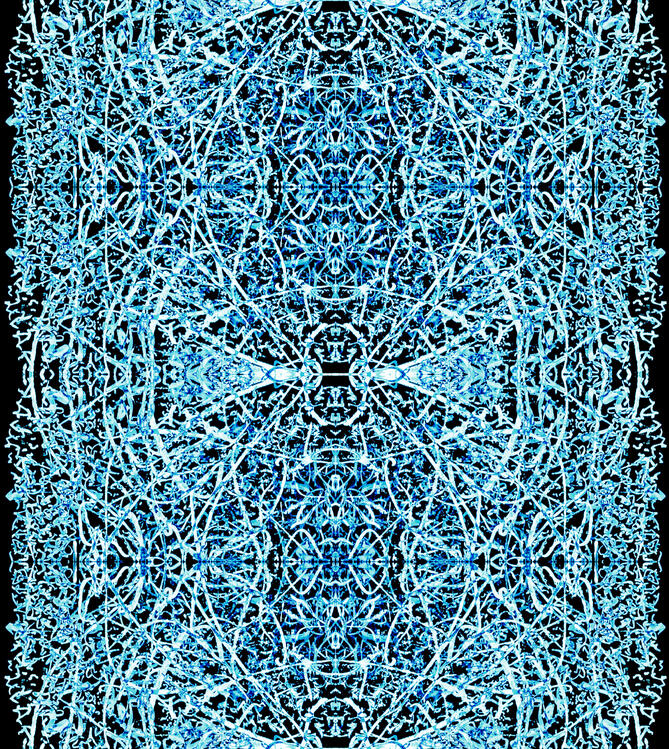 The Neuronal Blue Protocol: Blueprint Protocol V1.1 (Inverted)